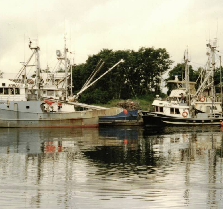 Better Seafood Archive Photo from Haida Gwaii